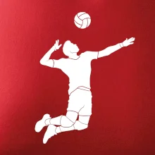 Volejbal nápřah muž