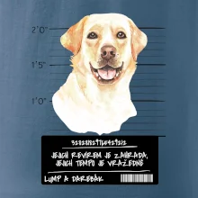 Lump a darebák labrador