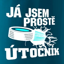 Já jsem prostě útočník (hokej)