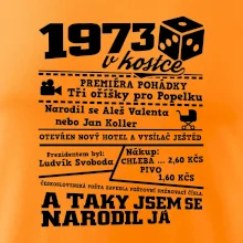 1973 v kostce