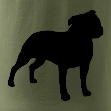 Americký stafordširský teriér  Na prsu