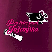 Pro tebe paní inženýrka
