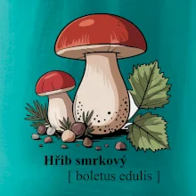 Hřib smrkový - Boletus edulis kreslený