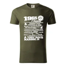 1965 v kostce