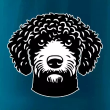 Lagotto romagnolo hlava na prsu