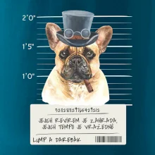 Lump a darebák francouzský buldoček