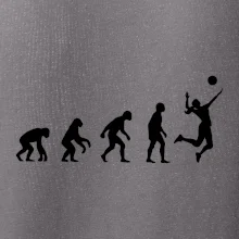 Evoluce volejbal culík