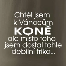 Chtěl jsem dostat k Vánocům koně