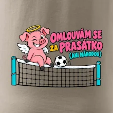 Nohejbalové prasátko na síti