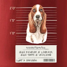 Baset - lump a darebák