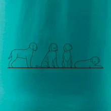 Lagotto romagnolo postavy linka