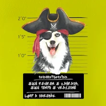 Lump a darebák husky