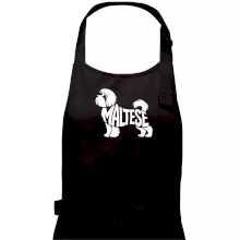 Maltézský psík nápis v těle