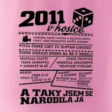 2011 v kostce