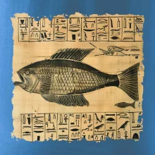 Egyptské hieroglyfy ryba