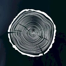 Letokruhy 45 bez věku