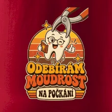Odebírám moudrost na počkání
