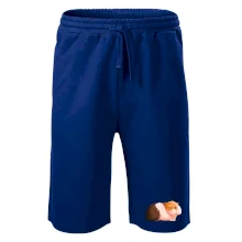 Morče - kreslené z boku