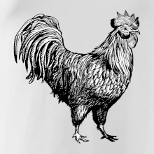 Kohout kreslený černobílý