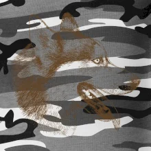 Husky - hlava z boku