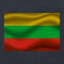 Litva vlajka obdélník