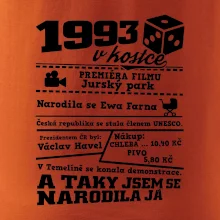 1993 v kostce