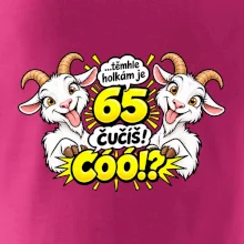 Těmhle holkám je 65, čučíš co?