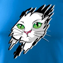 Kočka v roztrženém triku