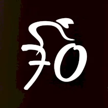 Cyklista slaví sedmdesátku (70)