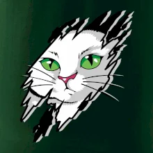 Kočka v roztrženém triku