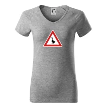 Dopravní značka - Pozor husa