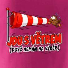 Jdu s větrem