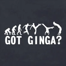 Capoeira - Got Ginga