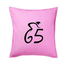 Cyklista slaví pětašedesátku (65)