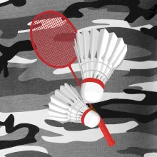 Badminton - pálka a košík