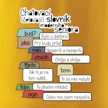 Chatovací slovník moderního seniora (Běžící češtinář)