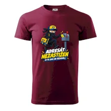 Adresát nezastižen