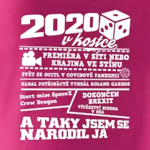 2020 v kostce