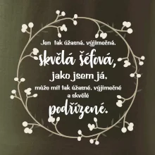 Jen tak skvělá šéfová jako jsem já