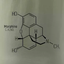 Molekulární struktura Morfin