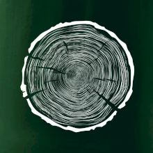 Letokruhy 100 bez věku