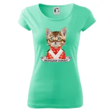 Napoleon domácí kočka