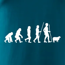 Evoluce pastevec ovcí