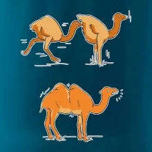 Pravda o velbloudech