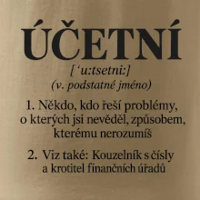 Účetní definice s humorem