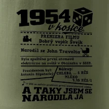 1954 v kostce
