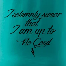 I solemnly swear that I'm up to no good