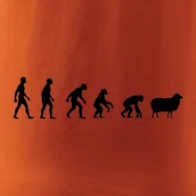 Evoluce ovce