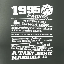 1995 v kostce
