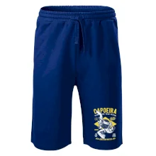 Capoeira  Afro-brazil art